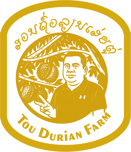 Tou Durian Farm Paksong Champasak