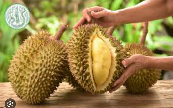 ຖົ່ວລຽນໝອນທອງ#1