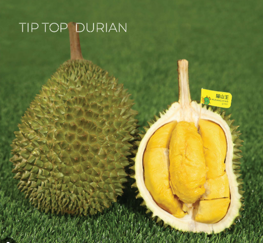 ຖົ່ວລຽນໝອນທອງ#1